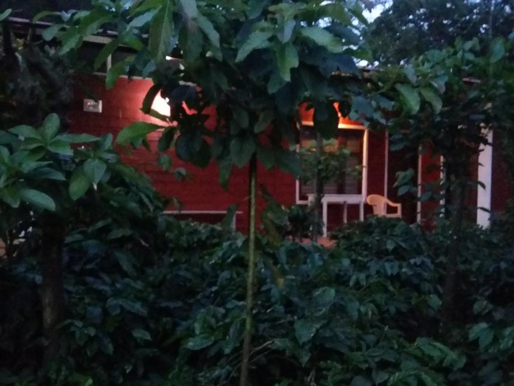 Athena Homestay Somvārpet Zewnętrze zdjęcie