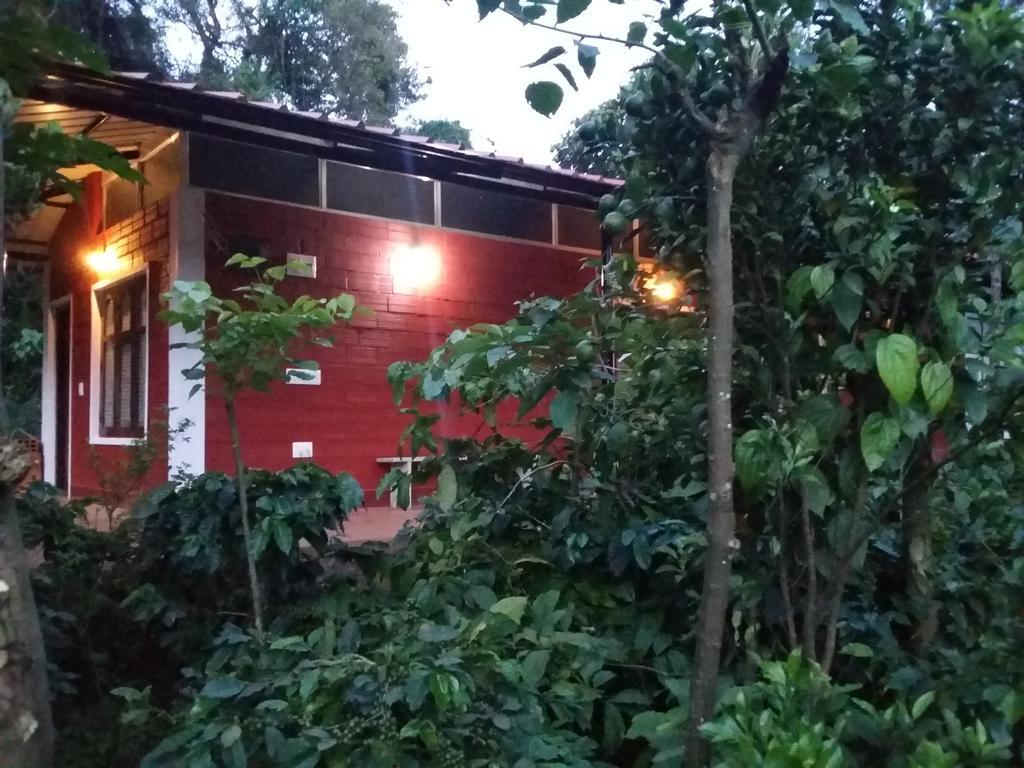 Athena Homestay Somvārpet Zewnętrze zdjęcie